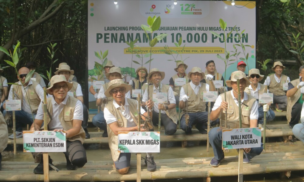 Kolaborasi LindungiHutan Dan SKK Migas Tanam 10 000 Pohon Mangrove