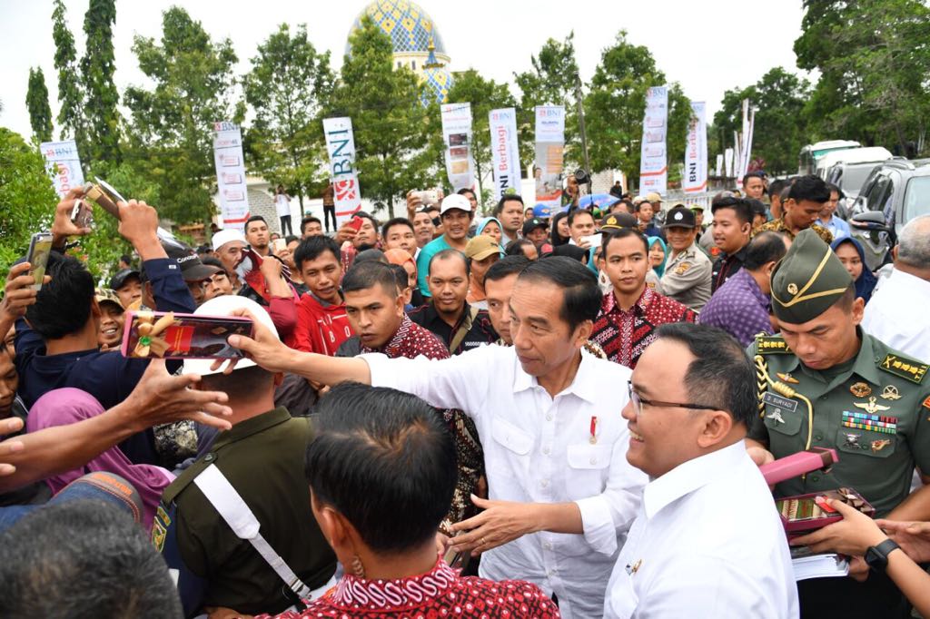 Selain Muba, Jokowi Bakal Lanjutkan Revitalisasi Kebun Sawit Tiga Provinsi
