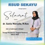 Nakes Muba Raih Prestasi Banggakan Tingkat Nasional 