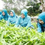 Kehadiran Ketua Pj TP PKK Muba Desa Sidorejo jadi Inspirasi Warga