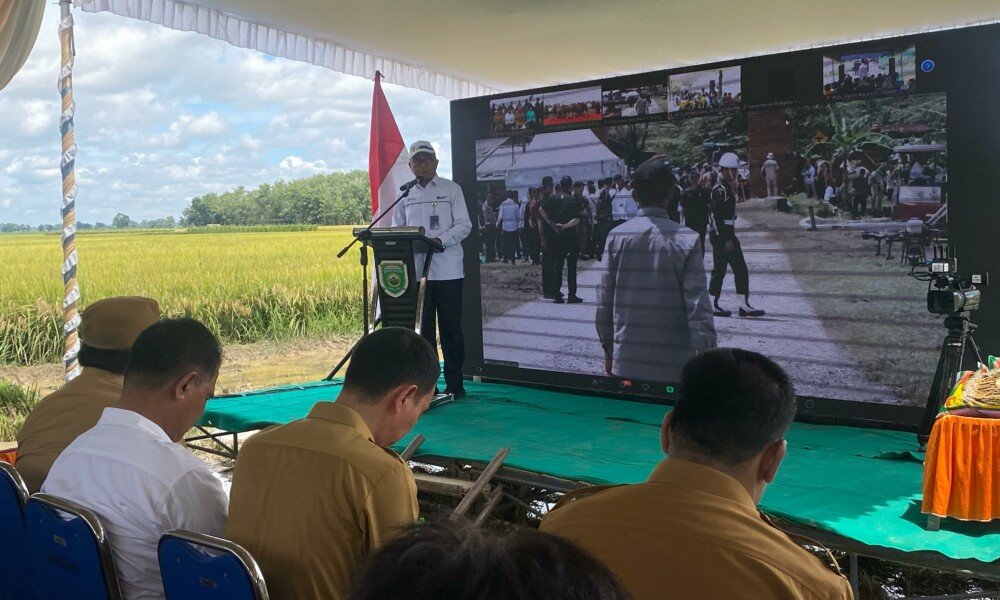 CATATAN KAKI : Ketika Pupuk Pusri Jadi Orang Ketiga [Cinta Segitiga Demi Ketahanan Pangan]
