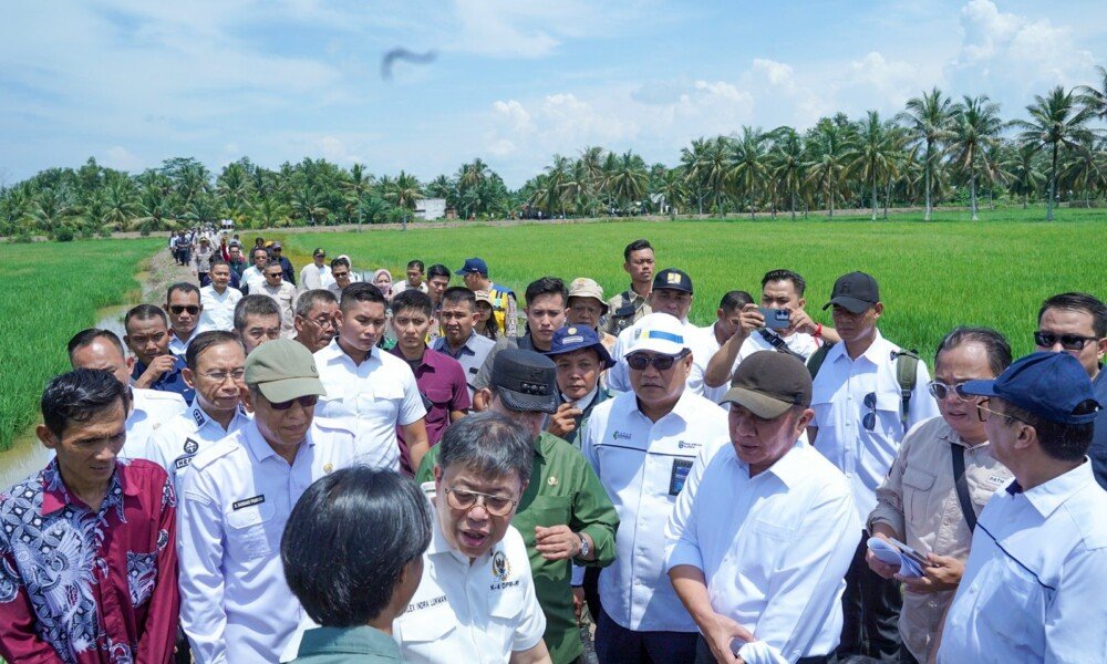 Pusri Turun, Panen Naik, Petani Ngikik