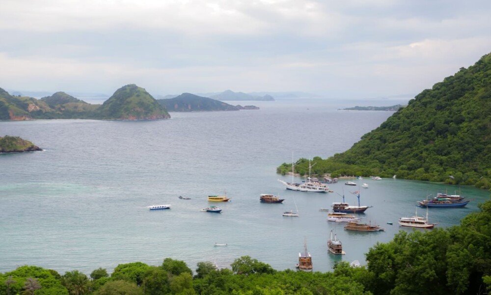 Cerita dari Laut yang Tak Pernah Tidur, Transhipment & Traktor Nelayan