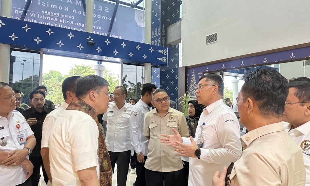 Sumsel, Negeri Seribu Rawa yang Tak Boleh Cuma Jadi Kolam Wacana