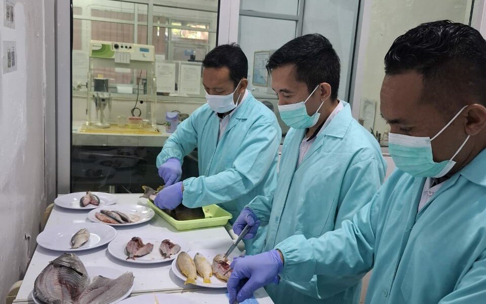 Ikan Meledak, Mutu Terbenam, Dari Laut Jadi Lotek