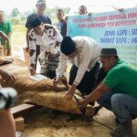 CATATAN KAKI: Sapi Presiden 802,5 Kg, Beratnya Daging, Ringannya Hati!