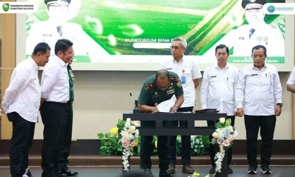 Menanam Asa di Atas 48 Ribu Hektare Lahan Sawah