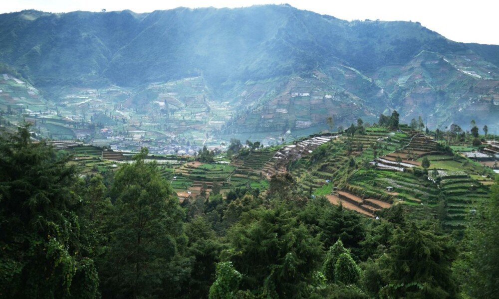 Menapaki Kabut, Menemukan Diri, Ketika Langkah Kaki Berdamai dengan Alam di Dieng Caldera Race