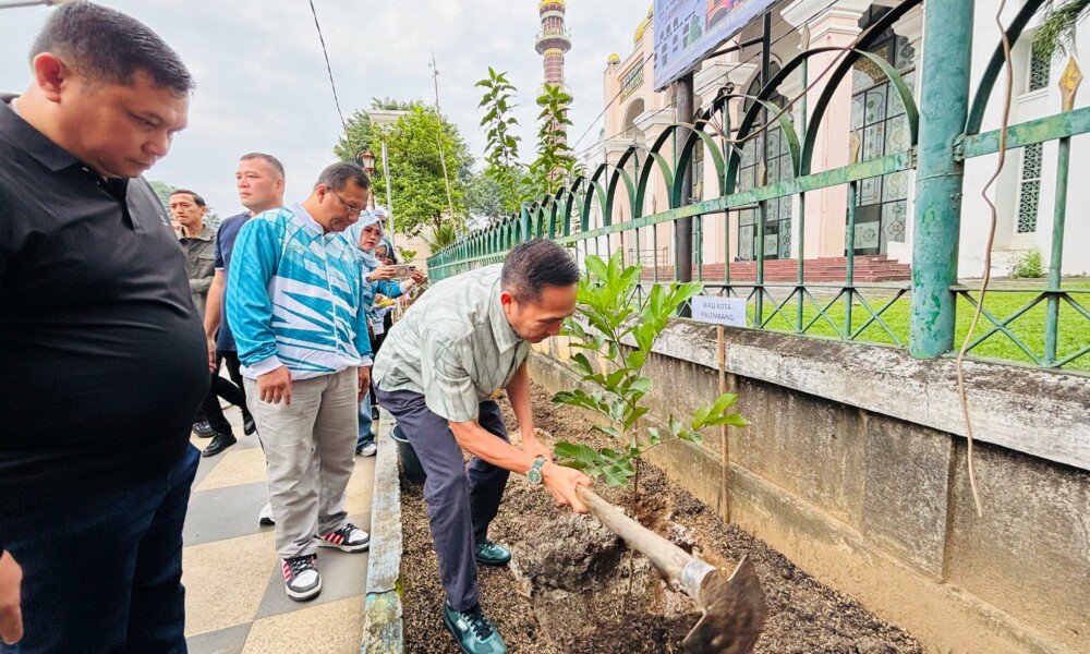 Sepotong Pepaya di Halaman, Sejuta Harapan di Tangan Warga