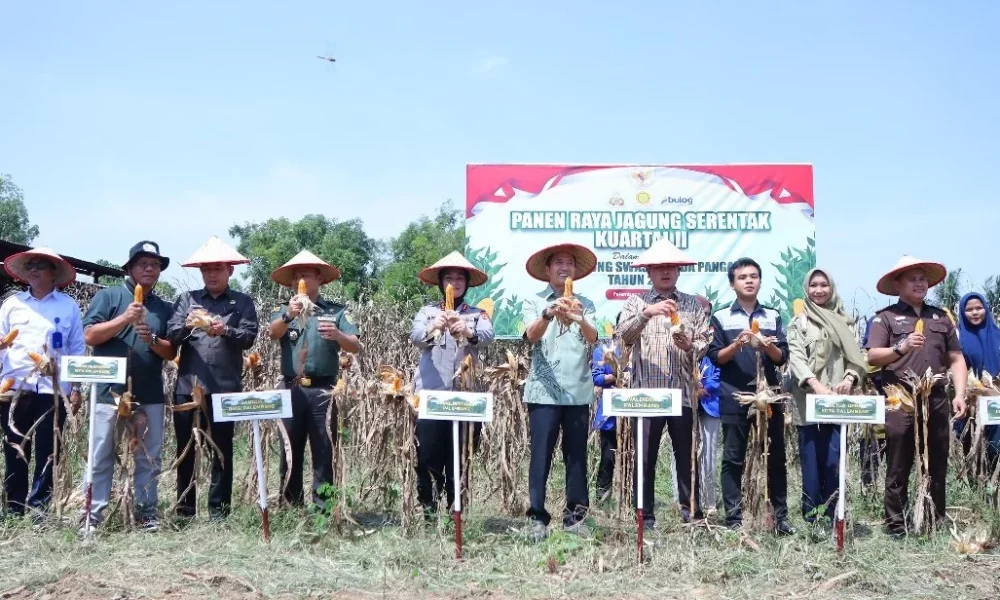 Jagung, Presiden & Zoom yang Mengenyangkan, Walikota Palembang Menyimak
