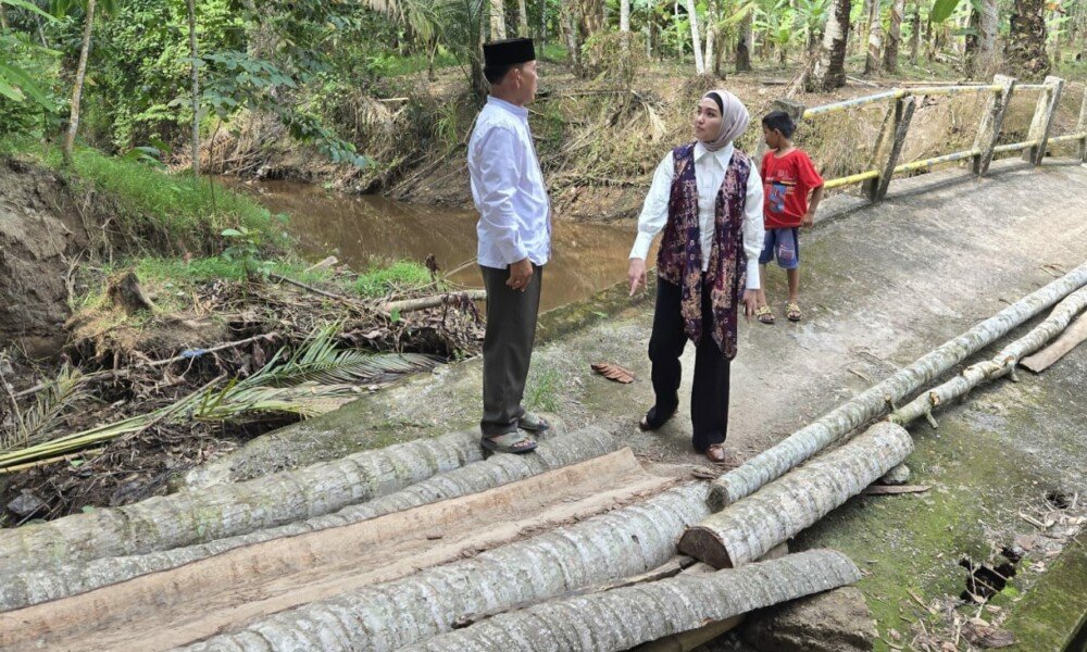 Politisi Demokrat Chandri Puspitasari Tinjau Jembatan Putus di Desa Tanjung Laga