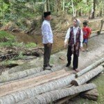 Politisi Demokrat Chandri Puspitasari Tinjau Jembatan Putus di Desa Tanjung Laga