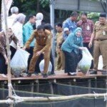 Di Balik Panti, Ada Revolusi Pangan