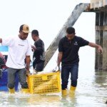 “KNMP: Kampung Nelayan Rasa CEO, Serius Bukan Hoax!”