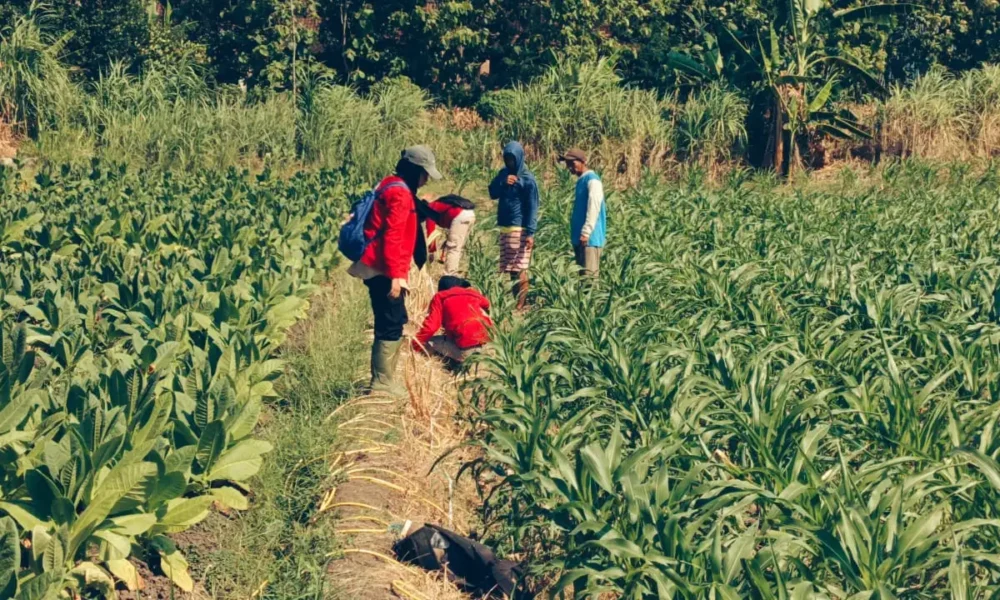 “Semarang Retak-retak Tapi Bukan Karena Cinta, BRIN Temukan Sesar Aktif Bikin Deg-degan”