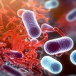 Sepsis: Si “Hantu Halus” Bisa Mengintai Balita – Jangan Sampai Kecolongan!