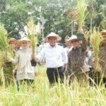 “Padi Apung Sumsel, Solusi Cerdas Hadapi Perubahan Iklim”