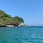 “EVIKA Turun ke Laut, Si Guru Galak Penjaga Ekosistem”