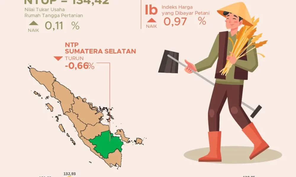 Desember yang Berat bagi Petani Sumsel