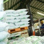 Stok Pupuk Bersubsidi Aman, Petani Bisa Tebus Tanpa Ribet