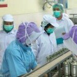 Udang Indonesia Mendarat di 10 Pelabuhan Utama AS