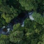 Hutan & Budaya, Menjaga Alam, Memelihara Warisan Bangsa