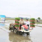 Wamentan Cek Bulog Sumsel, Stok Beras Diuji El Nino