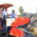 Dulu Pakai Otot, Kini Mesin Kuasai Panen Jagung Sumsel
