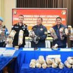 Ladang Ganja 20 Hektar Terbongkar di Empat Lawang, Polisi Sempat Diserang