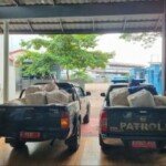 3 Ton Sisik Trenggiling Disamarkan Jadi Teripang