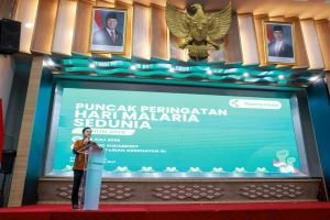 Strategi RI Pertahankan Daerah Bebas Malaria Menuju 2030