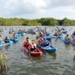 Potensi Ekonomi Mangrove Indonesia, Bisa Jadi Sumber Cuan Hijau