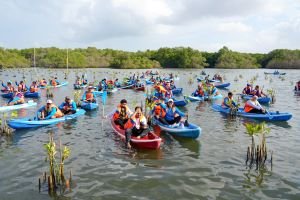 Potensi Ekonomi Mangrove Indonesia, Bisa Jadi Sumber Cuan Hijau