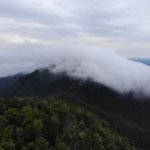 TN Gunung Maras Genap 10 Tahun, KSDA Perkuat Perlindungan Satwa Endemik Bangka