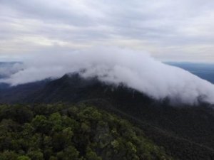 TN Gunung Maras Genap 10 Tahun, KSDA Perkuat Perlindungan Satwa Endemik Bangka