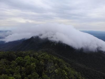 TN Gunung Maras Genap 10 Tahun, KSDA Perkuat Perlindungan Satwa Endemik Bangka