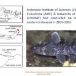 Ikan Purba Coelacanth Ditemukan di Pulau Talise, 18 Ekor Ungkap Fakta Baru Habitatnya