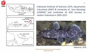 Ikan Purba Coelacanth Ditemukan di Pulau Talise, 18 Ekor Ungkap Fakta Baru Habitatnya