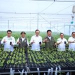 70 Juta Bibit Tersedia, Kemampo Banyuasin Bisa Produksi hingga 10 Juta Batang per Tahun