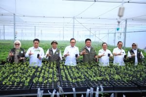 70 Juta Bibit Tersedia, Kemampo Banyuasin Bisa Produksi hingga 10 Juta Batang per Tahun