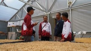 Dikira Harus Pilih Hutan atau Cuan, Warga Ciloto Buktikan Perhutanan Sosial Bisa Dapat Keduanya