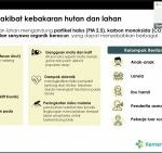 Kasus ISPA di Kalbar Tembus 165 Ribu saat Karhutla, Ini Kelompok yang Paling Rentan