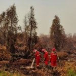 518 Hotspot Karhutla Terdeteksi di Kalimantan, Asap Pekat Batasi Water Bombing