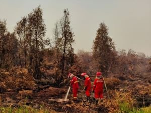 518 Hotspot Karhutla Terdeteksi di Kalimantan, Asap Pekat Batasi Water Bombing
