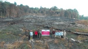 Karhutla di Enam Konsesi Tembus 1.511 Hektare, Satu Perusahaan Sumbang Separuhnya