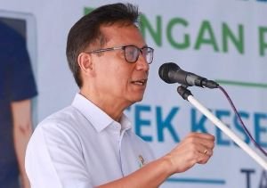 TB Bukan Akhir Cerita! Kabar Baik untuk Pengidap TB, Skrining Kini Dikebut