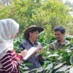 Dari Bingung Urus PNBP hingga Dapat NTPN, Cerita KTH Tambakbaya di Perhutanan Sosial