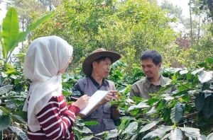 Dari Bingung Urus PNBP hingga Dapat NTPN, Cerita KTH Tambakbaya di Perhutanan Sosial