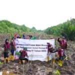 Konservasi Keanekaragaman Hayati, Kilang Plaju Rawat Rusa, Belida hingga 21.000 Mangrove