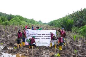 Konservasi Keanekaragaman Hayati, Kilang Plaju Rawat Rusa, Belida hingga 21.000 Mangrove